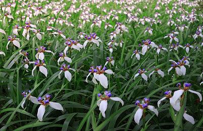 Take Two：AI可以让NPC变得非常有意思和有趣